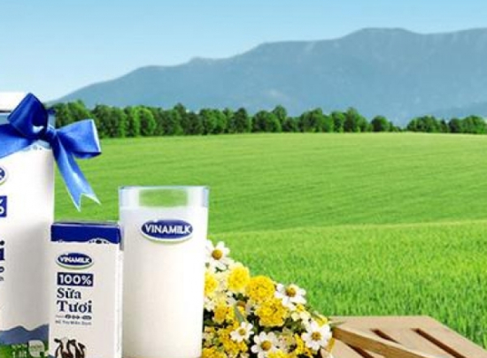 Quảng bá ở nước ngoài, đấu giá Vinamilk sẽ đắt khách